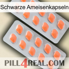 Black Ant Capsules 27